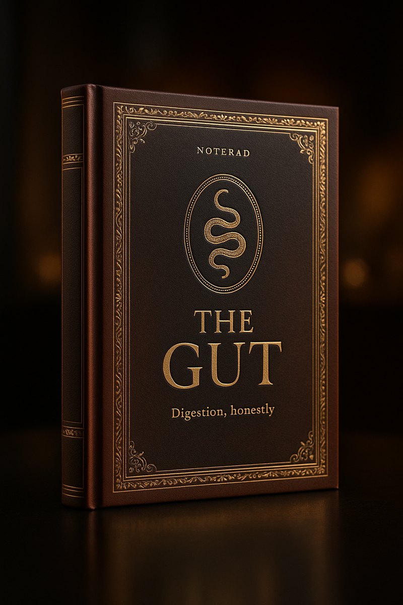 The Gut — Digestion, Honestly cover