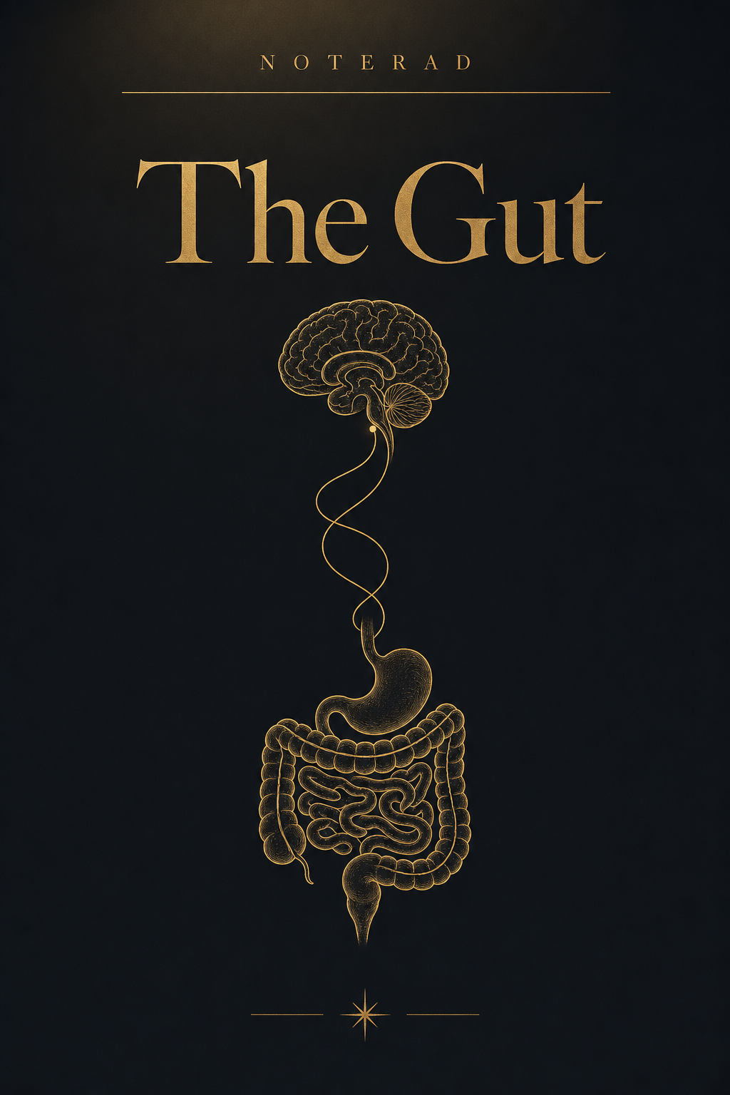 The Gut — Digestion, Honestly e-book cover