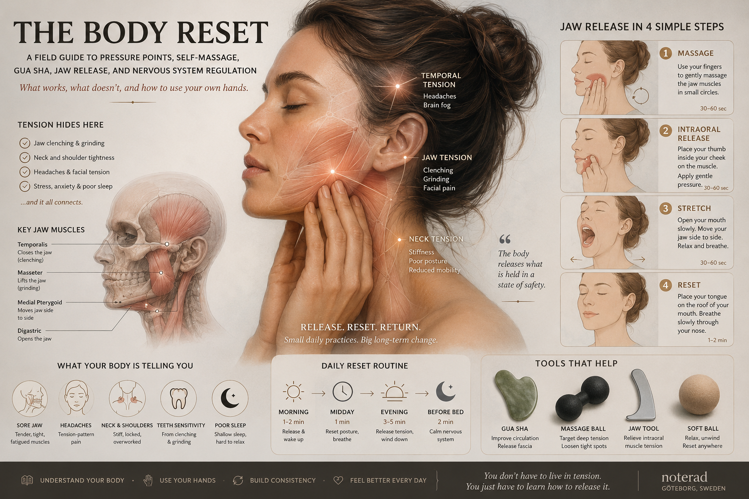 The Body Reset — A Field Guide